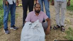 नूंह में युवक के पास से 80 पेटी प्रतिबंधित नशीली दवाइयां बरामद, कट्टों में छिपाकर बेचने की थी तैयारी