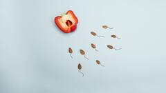 Reproductive Health : மாதவிடாய் சார்ந்த பிரச்சினைகளை போக்க இந்த மூன்று பானங்களை குடித்து வாங்க!