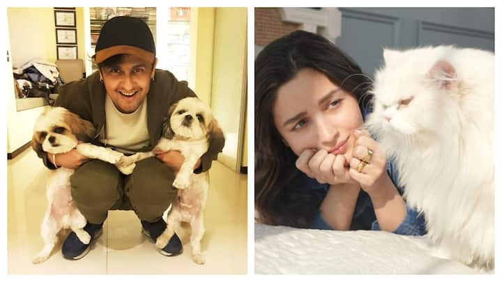 Bollywood celebrities often share their love for their furry friends on Instagram, giving us a glimpse into their lives.