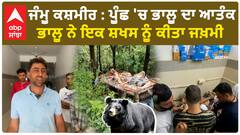 Bear attack in J&K's Poonch | ਪੂੰਛ 'ਚ ਭਾਲੂ ਦਾ ਆਤੰਕ,ਖੇਤਾਂ 'ਚ ਕੰਮ ਕਰ ਰਹੇ ਬੰਦੇ 'ਤੇ ਕੀਤਾ ਹਮਲਾ