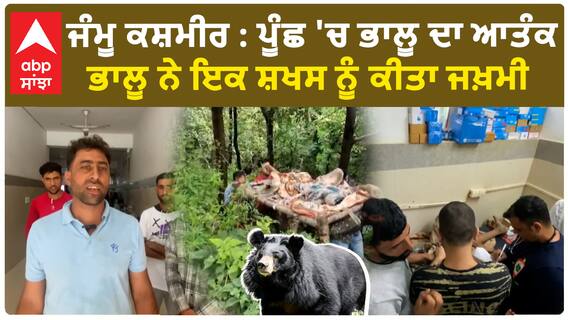Bear attack in J&K's Poonch | ਪੂੰਛ 'ਚ ਭਾਲੂ ਦਾ ਆਤੰਕ,ਖੇਤਾਂ 'ਚ ਕੰਮ ਕਰ ਰਹੇ ਬੰਦੇ 'ਤੇ ਕੀਤਾ ਹਮਲਾ