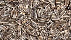 Benefits Of Sunflower Seeds: உணவில் சூரியகாந்தி விதைகள் இருப்பது ஏன் நல்லது? இதைப் படிங்க!