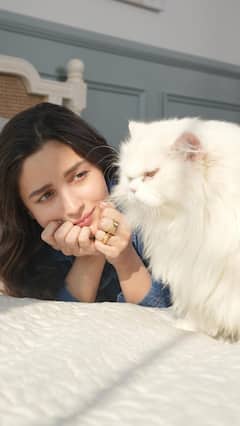 Seven Bollywood Celebrities And Their ‘Pawdorable’ Moments That Will Melt Your Heart
