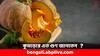 Pumpkin Benefits: বাতের ব্যথা, ইউরিক অ্যাসিডে ভুগছেন ? এসময় কুমড়ো খাওয়া কি ভাল ?