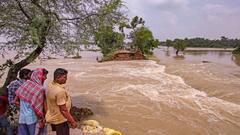 Weather Update: প্রবল বর্ষণের পূর্বাভাস, সপ্তাহান্তে এই জেলাগুলিতে দুর্যোগের আশঙ্কা
