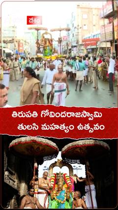 తిరుపతి గోవిందరాజస్వామి తులసి మహత్యం ఉత్సవం