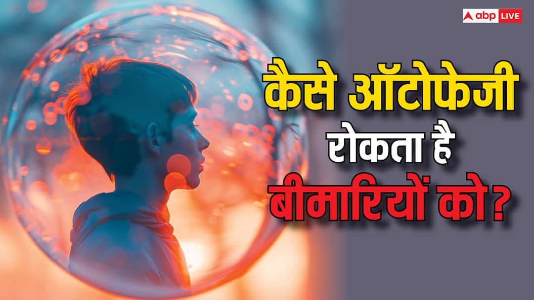 Autophagy How Your Body Naturally Heals and Protects Itself from Diseases क्या होता है ऑटोफेजी? जिसमें शरीर खुद ही बीमारियों से लड़ता है