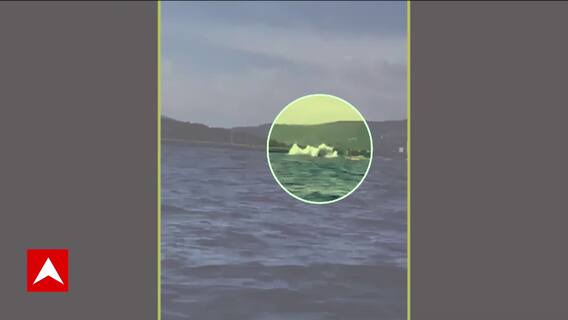 World News: Plane Crash During Airshow in France, Watch Visuals | ABP News