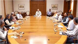 Cabinet Decision: केंद्र सरकार के फैसले, राजस्थान-पंजाब में बनेंगी 2280 किलोमीटर बॉर्डर रोड, गरीबों को 2028 तक फ्री चावल