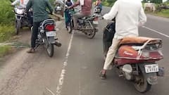 स्वार्थी माणूस... रस्त्यावरील मृत मोराची पिसे काढून घरी नेली; व्हिडिओ व्हायरल