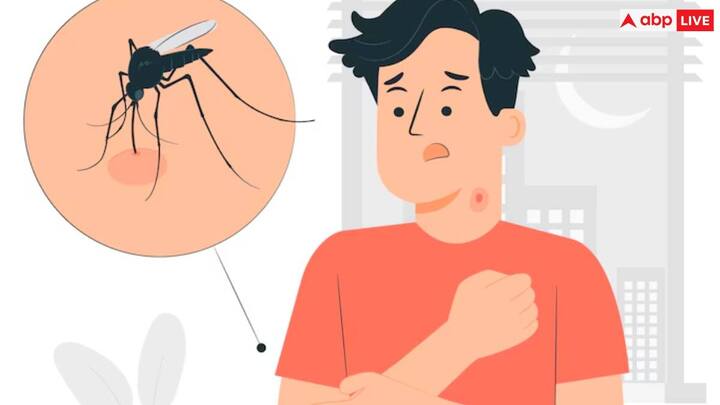 यह जल्दी से गंभीर डेंगू में बदल सकता है, जिसे डेंगू रक्तस्रावी बुखार या डेंगू शॉक सिंड्रोम भी कहा जाता है, जब आपके रक्तप्रवाह में थक्का बनाने वाली कोशिकाओं (प्लेटलेट्स) की संख्या कम हो जाती है और आपकी रक्त वाहिकाएं इतनी क्षतिग्रस्त हो जाती हैं कि उनमें रिसाव होने लगता है। इससे शॉक, आंतरिक रक्तस्राव और अंग विफलता हो सकती है.