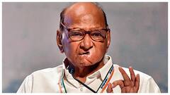 'पीएम मोदी एक देश एक चुनाव की बात करते हैं लेकिन...', शरद पवार ने उठाए चुनाव आयोग पर सवाल