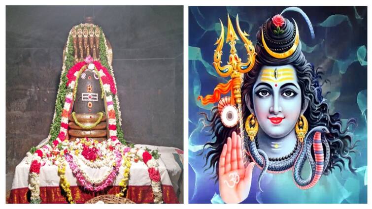 Aavani Month 2024 Lord Thulaseeshwarar Temple history know how to visit full details here தமிழ்நாட்டிலே ஒரே சிவாலயம்! துளசி இலையால் அர்ச்சனை! துளசீஸ்வரர் கோயிலுக்கு எப்படி செல்வது?