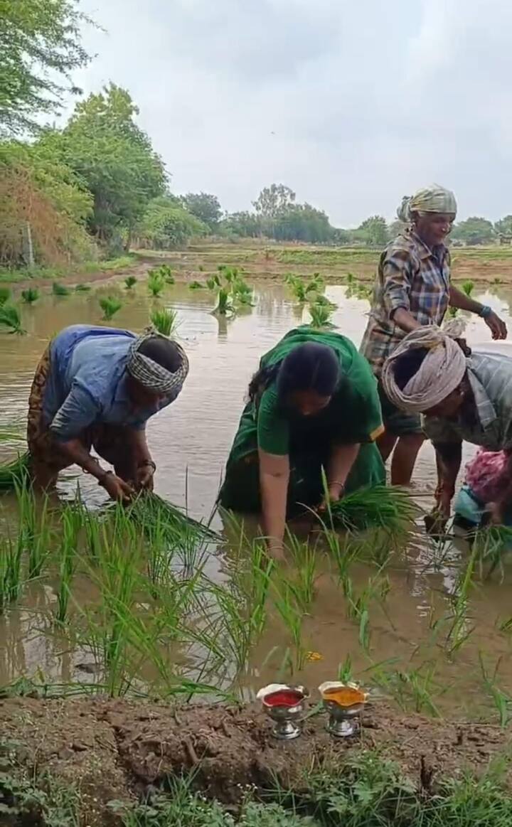 రాప్తాడు ఎమ్మెల్యే పరిటాల సునీతతో పని చేసేందుకు వచ్చిన కూలీలు కూడా ఉత్సాహంగా పని చేశారు.