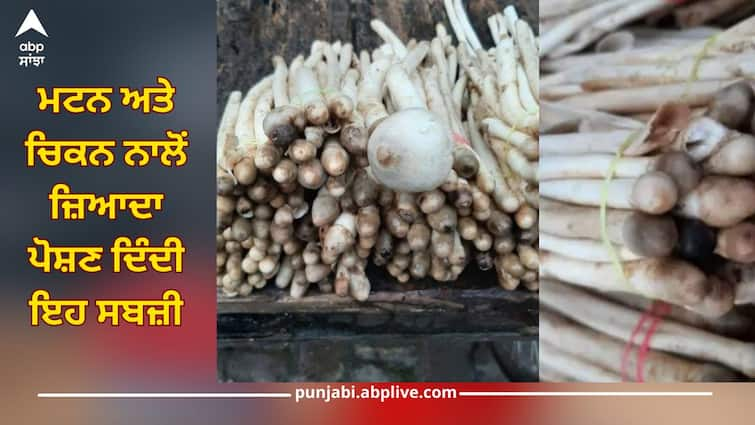 This vegetable provides more nutrition than mutton and chicken, eat it once a week, you will get benefits Health News: ਮਟਨ ਅਤੇ ਚਿਕਨ ਨਾਲੋਂ ਜ਼ਿਆਦਾ ਪੋਸ਼ਣ ਦਿੰਦੀ ਇਹ ਸਬਜ਼ੀ, ਹਫਤੇ 'ਚ ਇਕ ਵਾਰ ਜ਼ਰੂਰ ਖਾਓ, ਮਿਲਣਗੇ ਫਾਇਦੇ