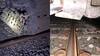 Train Accident: ગુજરાત આવી રહેલી સાબરમતી એક્સપ્રેસ ટ્રેનના 22 ડબ્બા પાટા પરથી ઉતર્યા, કલેક્ટર સહિતના અધિકારીઓ ઘટના સ્થળે