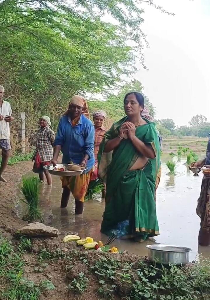 వెంకటాపురంలోని పరిటాల సునీత స్వగ్రామంలో తమ వ్యవసాయ క్షేత్రంలో శ్రావణ శుక్రవారం పురస్కరించుకొని వరి నాట్లు నాటారు. ముందుగా భూమి పూజ చేసి కూలీలతో సమానంగా మడికట్లలో దిగి పంట పొలాల్లో పాటలు పాడుకుంటూ ఎంతో ఉత్సాహంగా ఆమె వరినట్లు వేశారు.