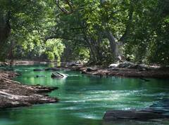 ਭਾਰਤ ਦੀ ਉਹ ਨਦੀ ਜੋ ਕਹਾਉਂਦੀ ਸ਼ਰਾਪਿਤ, ਨਹਾਉਣ ਤੋਂ ਵੀ ਡਰਦੇ ਨੇ ਲੋਕ, ਜਾਣੋ ਕੀ ਹੈ ਵਜ੍ਹਾ