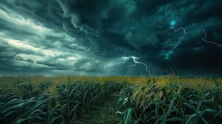 Gujarat Rain forecast: આગામી 5 દિવસ આ જિલ્લામાં ગાજવીજ સાથે વરસશે વરસાદ, હવામાન વિભાગની આગાહી