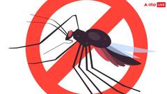 Dengue: डेंगू से बचना है तो घर के अंदर या बाहर इन बातों का जरूर रखें ख्याल