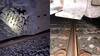 Train Accident: ਪਟੜੀ ਤੋਂ ਉੱਤਰੇ ਸਾਬਰਮਤੀ ਐਕਸਪ੍ਰੈੱਸ ਦੇ 22 ਡੱਬੇ, ਮਚਿਆ ਚੀਕ ਚਿਹਾੜਾ
