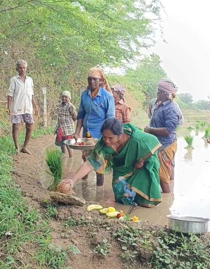 రాజకీయాల్లోకి రాక ముందు వరకు మాజీ మంత్రి పరిటాల సునీత ఇంటి పనుల్లోనూ వ్యవసాయ పనుల్లోనూ చురుకుగా పాల్గొనేవారిని స్థానికులు పేర్కొన్నారు.