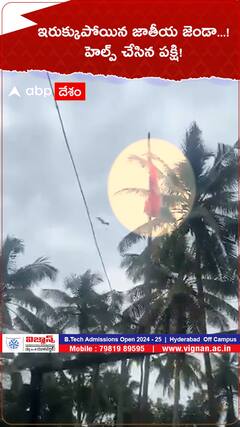 ఇరుక్కుపోయిన జాతీయ జెండా...! హెల్ప్ చేసిన పక్షి!