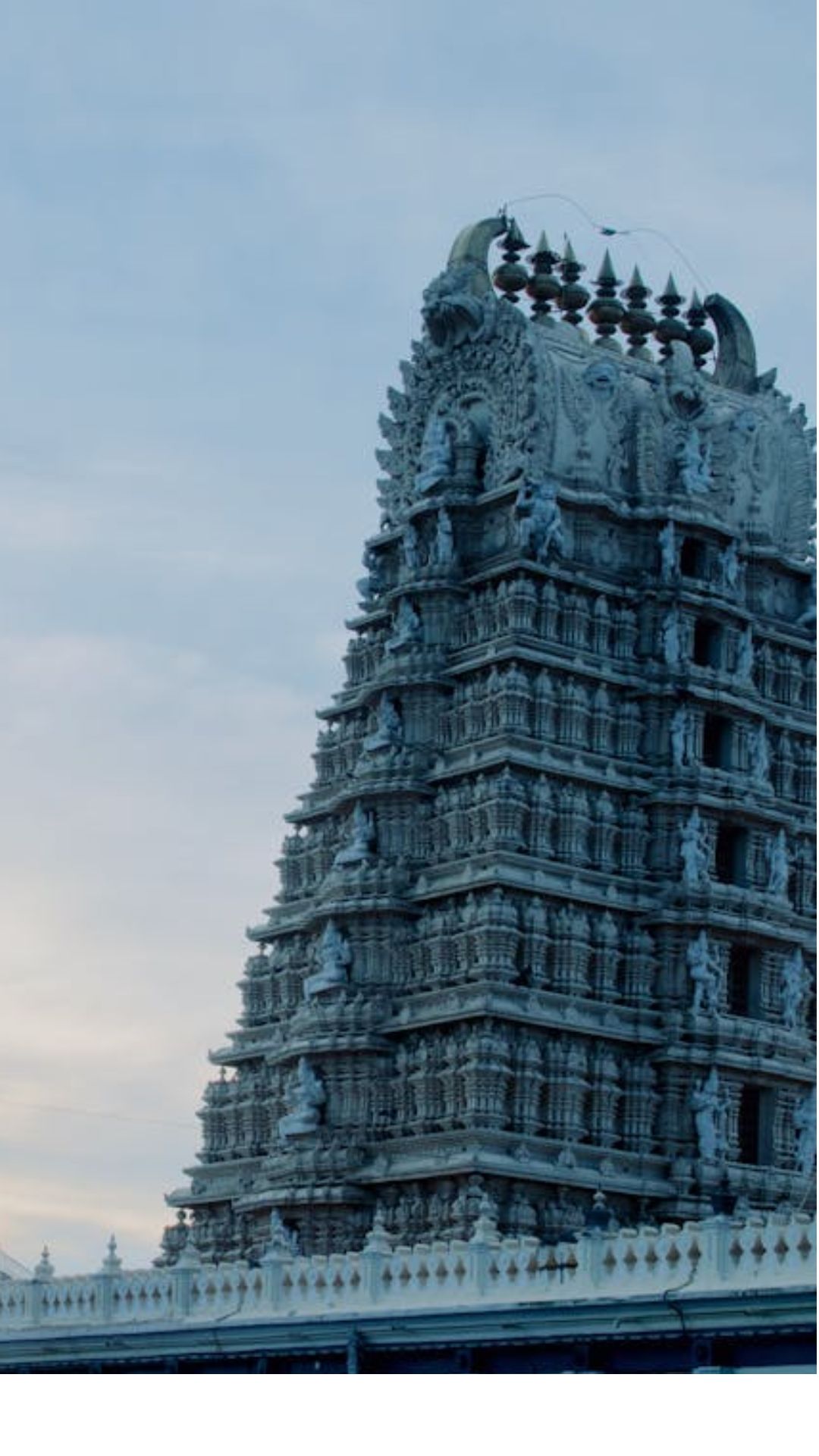நான்கு ஆண்டுகளுக்கு ஒரு முறை பிறக்கும் அபூர்வ பிரதோஷத்தில் இந்த ஆவணி பிறந்துள்ளது