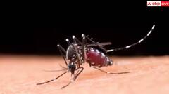 Dengue: ਡੇਂਗੂ ਤੋਂ ਬਚਣਾ, ਤਾਂ ਘਰ ਦੇ ਅੰਦਰ ਜਾਂ ਬਾਹਰ ਇਨ੍ਹਾਂ ਗੱਲਾਂ ਦਾ ਰੱਖੋ ਖਾਸ ਧਿਆਨ