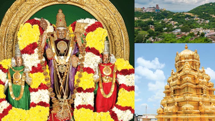 Thiruthani subramani Swamy Kovil interesting facts in Tamil TNN சூரசம்ஹாரம் நடைபெறாத முருகர் கோயில்... திருத்தணி முருகர் கோயில் சிறப்பம்சங்கள் என்ன ?