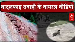 Weather Updates: कहीं पहाड़ दरक रहे तो कहीं गलियों में आया सैलाब.. बादलफाड़ तबाही के डरावने वीडियो