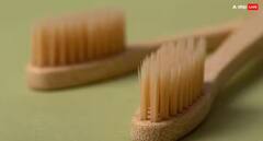 ਇੰਨੇ ਦਿਨਾਂ 'ਚ ਜ਼ਰੂਰ ਬਦਲ ਲਓ Toothbrush, ਨਹੀਂ ਤਾਂ ਹੋ ਸਕਦੀ ਦੰਦਾਂ ਨਾਲ ਜੁੜੀ ਸਮੱਸਿਆ