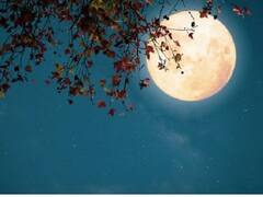 Sawan Purnima 2024: सावन पूर्णिमा पर तुलसी से जुड़ी न करें ये गलतियां, चौखट से लौट जाएंगी मां लक्ष्मी