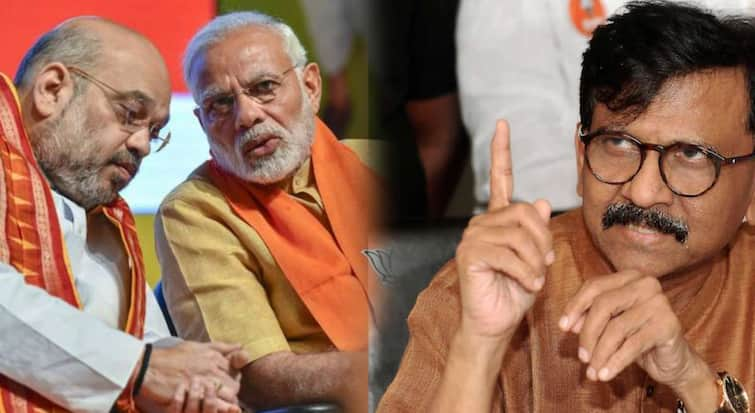 maharashtra assembly election 2024 shivsena mp sanjay raut criticizes on pm modi and Amit Shah over degree in nagpur marathi news पंतप्रधान मोदींकडे डिग्री नाही पण देशाच्या सर्वोच्च पदावर, त्या खालोखाल अमित शहा; संजय राऊत यांचा निशाणा