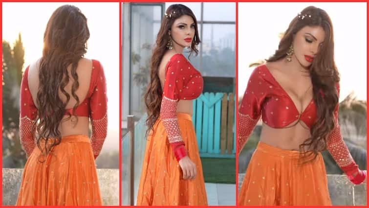 Sherlyn Chopra trolled by her latest post on instagram see their funny comments जब इस एक्ट्रेस का ब्लाउज देख यूजर्स ने दिए ऐसे-ऐसे रिएक्शन, कमेंट्स में बोली ये बात