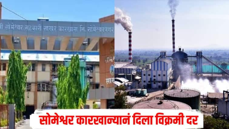 Someshwar Cooperative Sugar Factory gave sugarcane at a record price of Rs 3771 agriculture news farmers सोमेश्वर कारखान्याचा विक्रम, शेतकऱ्यांना विक्रमी दर देणारा राज्यातील पहिला साखर कारखाना, नेमका किती दिला दर?