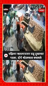 Washim Market CCTV : पहिल्या मजल्यावरुन वळू दुकानात पडला, दोघे थोडक्यात बचावले