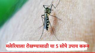 पावसाळ्यात मलेरिया होण्याचा धोका कमी करण्यासाठी हे 5 उपाय करुन पहा, तज्ञही सांगतात...