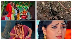 'త్రినయని' సీరియల్: తిలోత్తమ తెచ్చిన కుంకుమ పెట్టుకున్న నయనీకి జరిగిన నష్టమేంటీ? విశాల్‌వర్మకు ఎలాంటి కష్టం వచ్చింది?