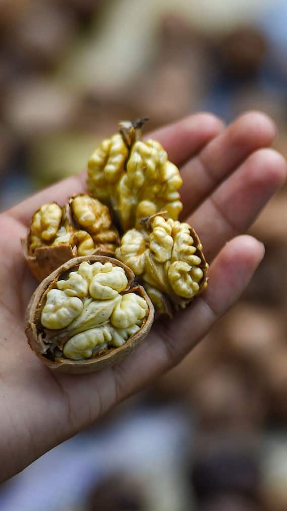 ਸਰਦੀਆਂ ‘ਚ ਅਖਰੋਟ ਕਿਵੇਂ ਸਿਹਤ ਨੂੰ ਦਿੰਦਾ ਫਾਇਦਾ; ਐਂਟੀ-ਏਜਿੰਗ ਗੁਣ ਤੋਂ ਲੈ ਕੇ ਹੱਡੀਆਂ ਨੂੰ ਕਰਦਾ ਮਜ਼ਬੂਤ