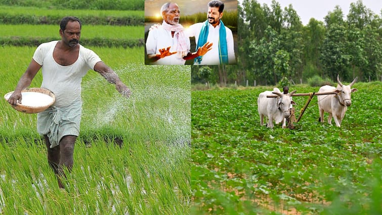 Telangana government to resolve problems in implementation of farmer loan waiver Telangana News: రైతు రుణమాఫీ సమస్యల పరిష్కార బాధ్యత అధికారులకు అప్పగింత- వడ్డీ వ్యాపారులకు చెక్ పెట్టేలా సరికొత్త ప్లాన్