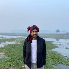 Guess Who: एकेकाळी बेरोजगार, पत्नीच्या कमाईने घर चालवायचा, 'स्त्री 2' चा 'हा' अभिनेता आज कोट्यवधींचा मालक!