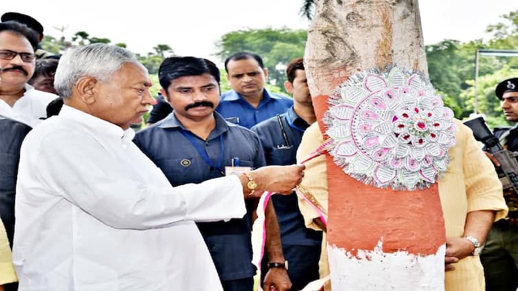 Bihar CM Nitish Kumar Ties Rakhi To Tree On Raksha Bandhan to mark Vriksha Suraksha Diwas மரத்துக்கு ராக்கி கட்டிய பீகார் முதலமைச்சர் நிதிஷ் குமார்.. எதுக்காக இப்படி பண்ணாரு?