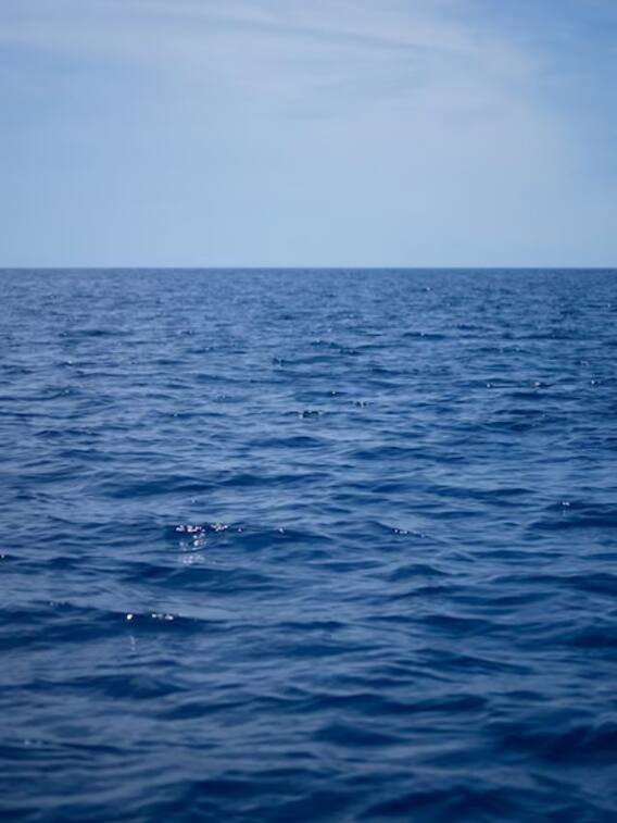 समुद्र का पानी कोई पी ले तो क्या होगा