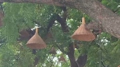 अयोध्या के रामपथ और भक्ति पथ पर लाइट चोरी होने के बाद लगाने वाली कंपनी पर FIR