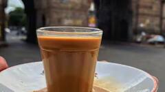 Tea Facts: આયુર્વેદના હિસાબથી ચા પીવી કેટલી યોગ્ય ? જરૂર જાણી લો આ વાત