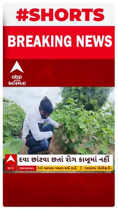 Amreli News | અમરેલીમાં મેઘરાજાએ ખમૈયા કરતાં ખેડૂતો મુકાયા ચિંતામાં