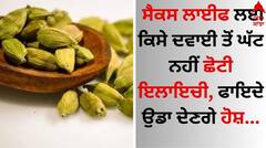 Benefits of Cardamom: ਸੈਕਸ ਲਾਈਫ ਲਈ ਕਿਸੇ ਦਵਾਈ ਤੋਂ ਘੱਟ ਨਹੀਂ ਛੋਟੀ ਇਲਾਇਚੀ, ਫਾਇਦੇ ਉਡਾ ਦੇਣਗੇ ਹੋਸ਼