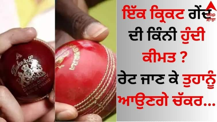 How much does a cricket ball cost? Knowing the rate will make you dizzy details inside Cricket Ball Price: ਇੱਕ ਕ੍ਰਿਕਟ ਗੇਂਦ ਦੀ ਕਿੰਨੀ ਹੁੰਦੀ ਕੀਮਤ ? ਰੇਟ ਜਾਣ ਕੇ ਤੁਹਾਨੂੰ ਆਉਣਗੇ ਚੱਕਰ 