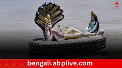 Annada Ekadashi: অন্নদা একাদশী পালনে দূর হয় সবপাপ, করতে হয় কী কী